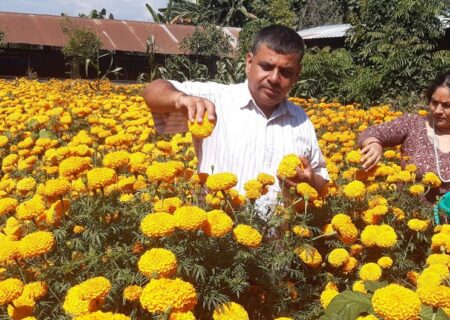 यी हुन् फूल खेतीबाट करोडौं कमाउने भरतपोखरी बागमाराका युवराज आचार्य